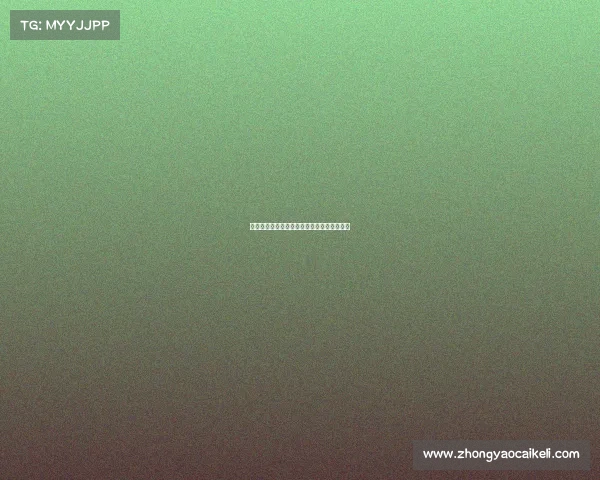 德甲赛季精彩回顾:各队表现分析与未来展望