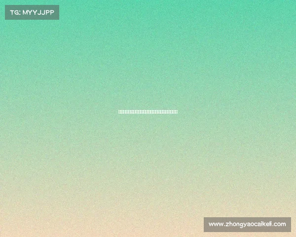 法甲联赛友谊赛精彩回顾:各队实力较量与新赛季前瞻