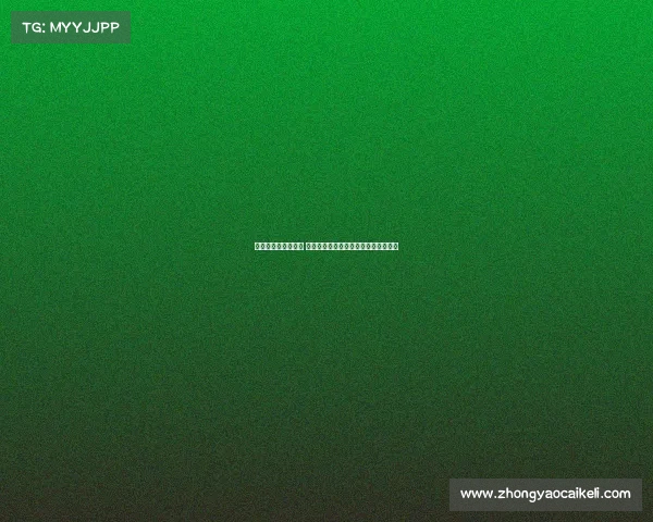 英超联赛观赛全攻略 从赛场氛围到球迷文化的全面体验解析