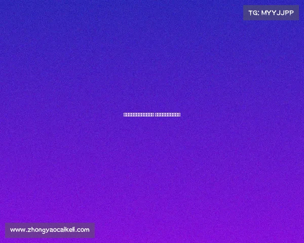 维萨转会纽卡斯尔进展顺利 谈判即将进入关键阶段