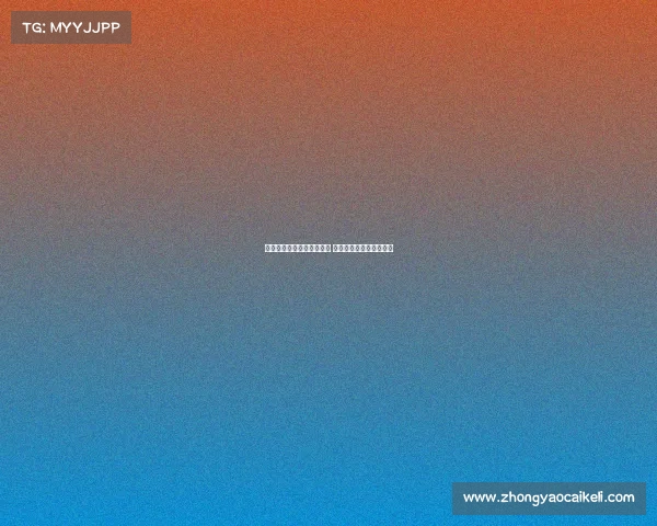 英媒称纽卡仍有意引进维萨 并已启动雅克松转会谈判