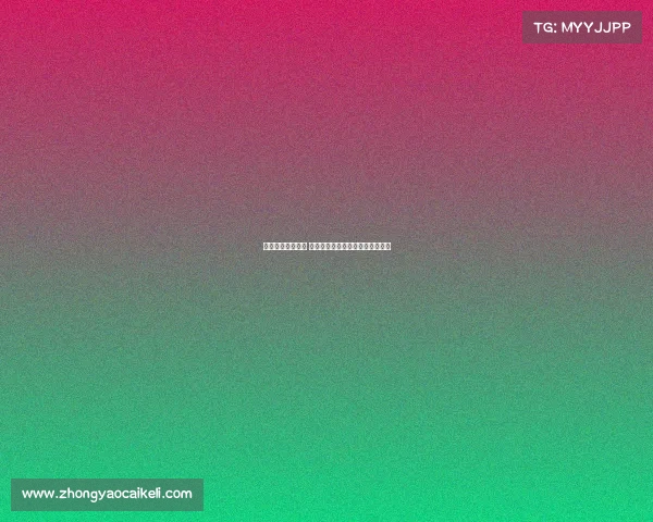 西甲联赛激战正酣 球迷热议豪门对决与年轻球员崛起